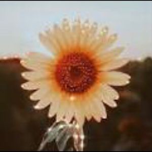 Meet your Posher, Kendra